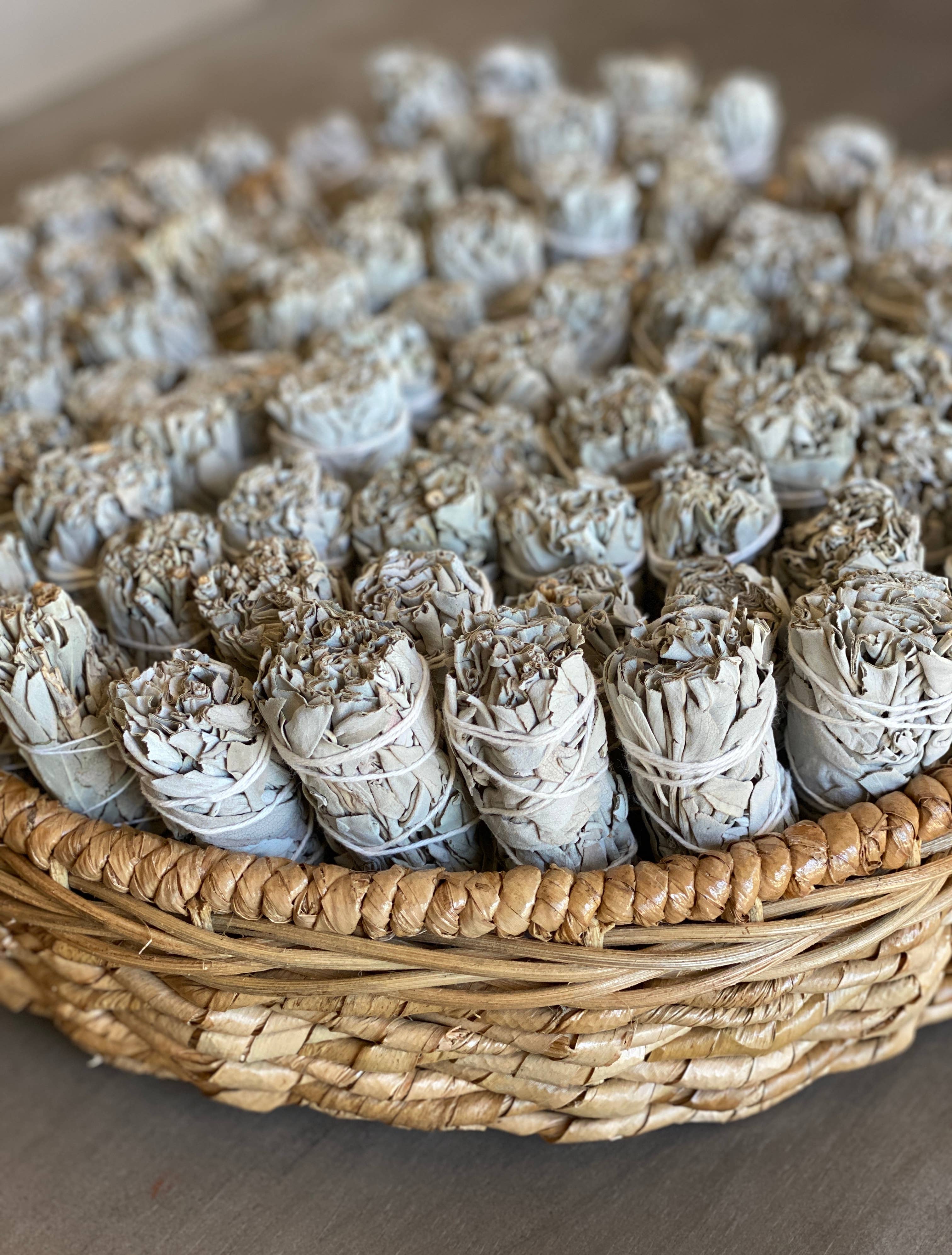 White Sage Smudge (2-pack)